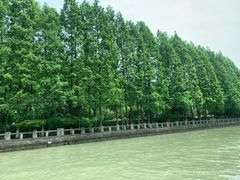 -运河游船(武林门码头)