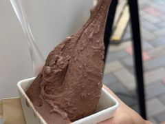 -野人先生现做冰淇淋(北京顺义祥云小镇店)