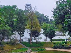 -深圳国际园林花卉博览园