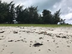-美国纪念公园