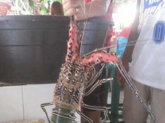 -D'Talipapa
