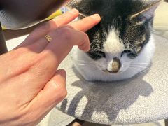 -Peet's Coffee皮爷咖啡(豫园店)