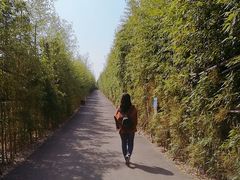 -武汉紫薇都市田园