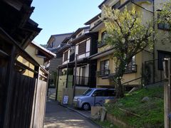 -有栖山 清光院 清水寺