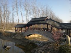 -合肥滨湖国家森林公园