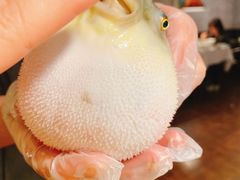 -肆月河豚·新淮扬(金融街店)