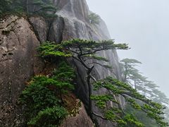 -黄山玉屏楼宾馆餐厅