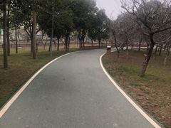 -洨河生态公园