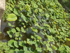 -上海昆虫博物馆