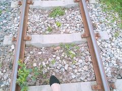 -合肥滨湖国家森林公园