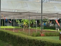 -Ohkajhu Organic Farm Sansai