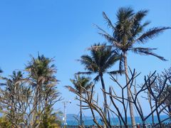 -大梅沙海滨公园