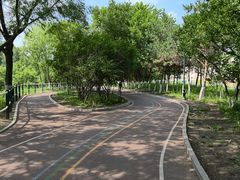 -黛秀湖公园