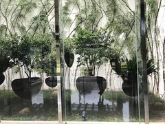 -千岛湖城中湖游船码头