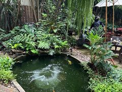 -Fern Forest Cafe