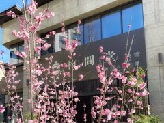 -梅间堂茶馆(绿地缤纷城店)