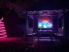 -枫花园汽车电影院(朝阳公园店)