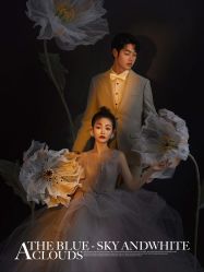-保定巴黎婚纱摄影