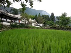 -塔川景区