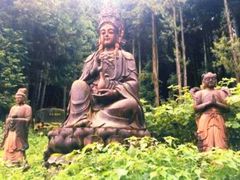 -武陵山森林公园