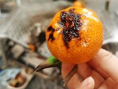 -苏州本色美术馆