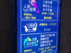 -泉城欧乐堡海洋极地世界