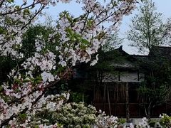 -三垟湿地