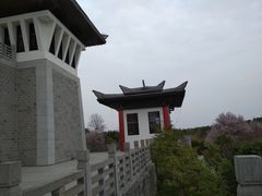 -合肥三国新城遗址公园