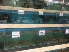 -秋姐美食店(旅游大道店)
