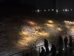 -世界恐龙谷景区