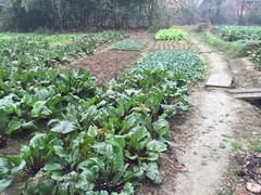 -红莲湖旅游度假区