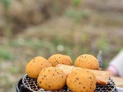 -广州市流溪河国家森林公园