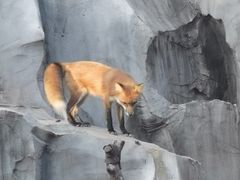 -武汉动物园
