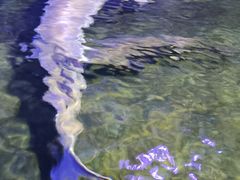 -左海海底世界