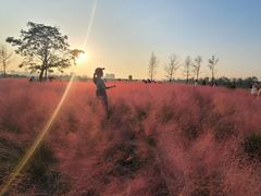 -汉长安城未央宫国家考古遗址公园