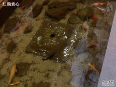 -泉乐坊步行街(烟酒特产平价超市店)