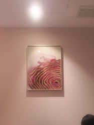 -恒美雅轩·品牌直营连锁