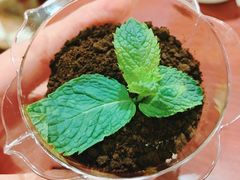 -比亚森自助烤肉料理(裕华店)