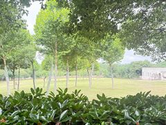 -合肥野生动物园