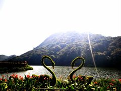 -广州市石门国家森林公园