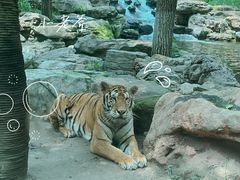 -北京野生动物园