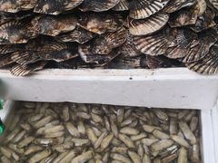 -青石桥市场北1-27号