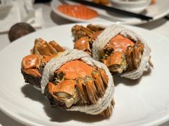 -碧涛阁·泡泡海洋·汤泉洗浴(王府花园店)