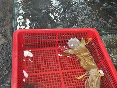 -拉威海鲜市场