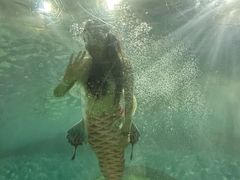 -苏州海洋馆