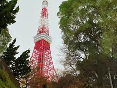 -东京塔海贼王主题公园