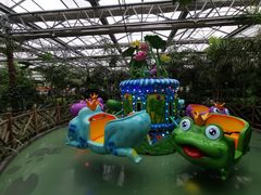 -南宫五洲植物乐园