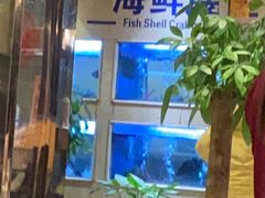 -阿英煲(凉城路店)