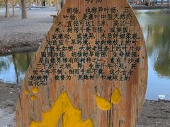 -金塔沙漠胡杨林景区
