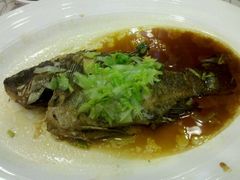 豉油粮煎蒸大罗非-六婶西关小厨(光塔路店)